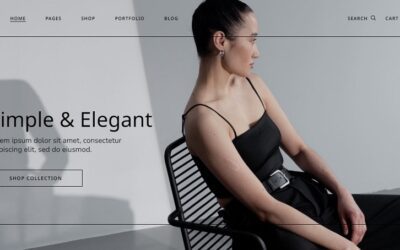 10 Clothing Website Design Ideas