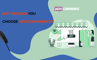 What makes WooCommerce the Best E- Commerce Platform