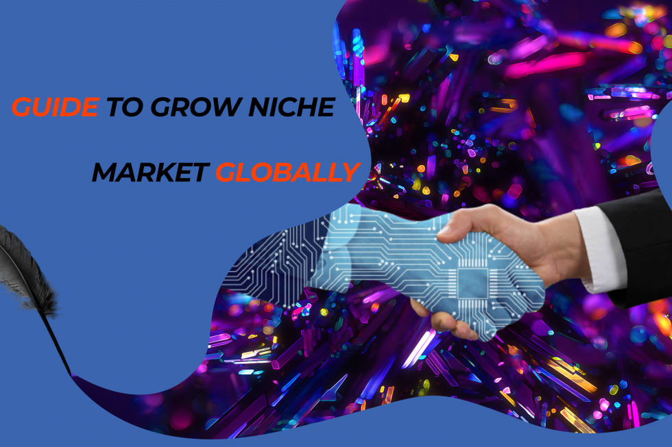 How To Grow Your Niche Market Globally?